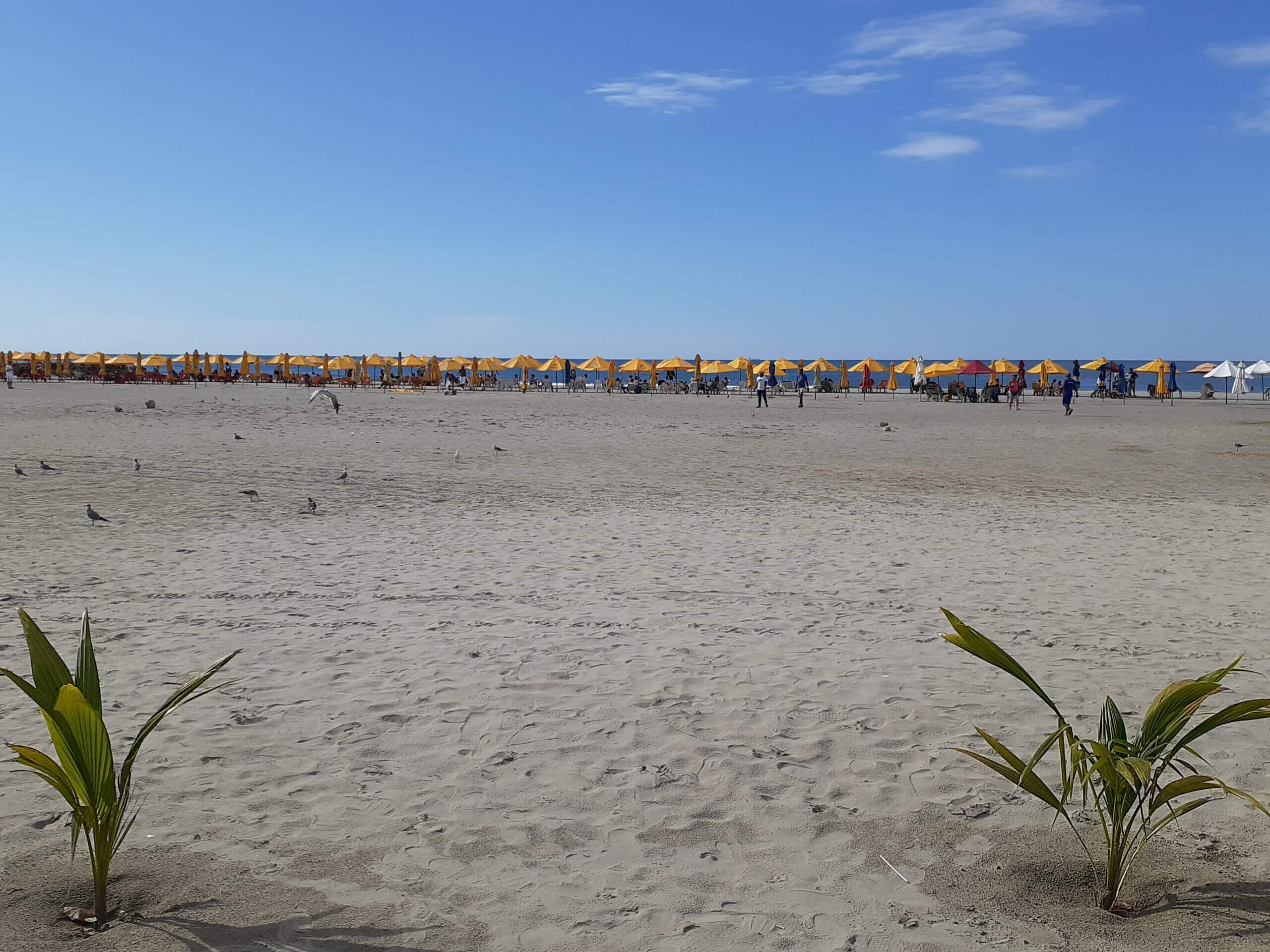 20191019_150433-scaled