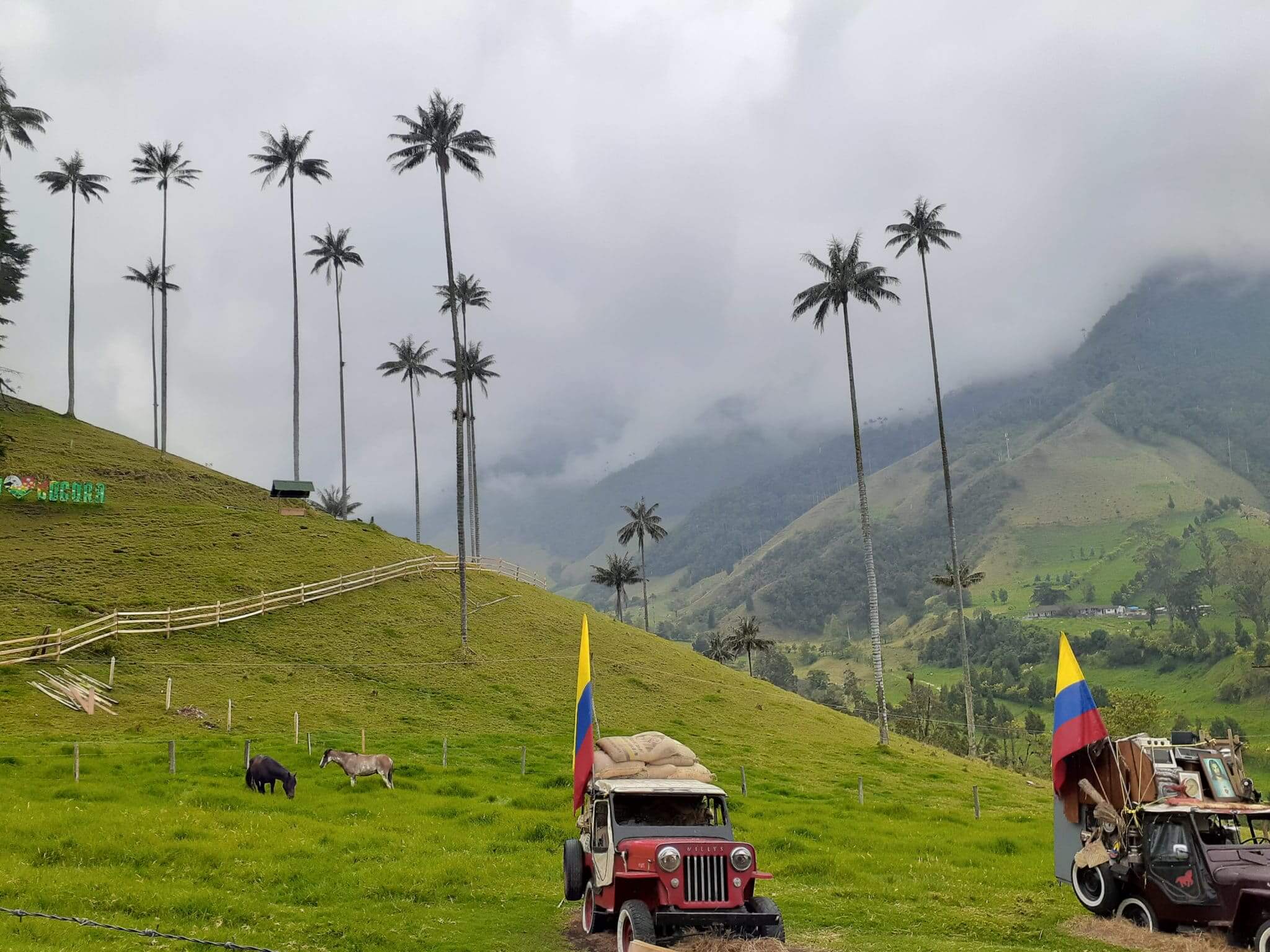 20191022_114136-scaled-1