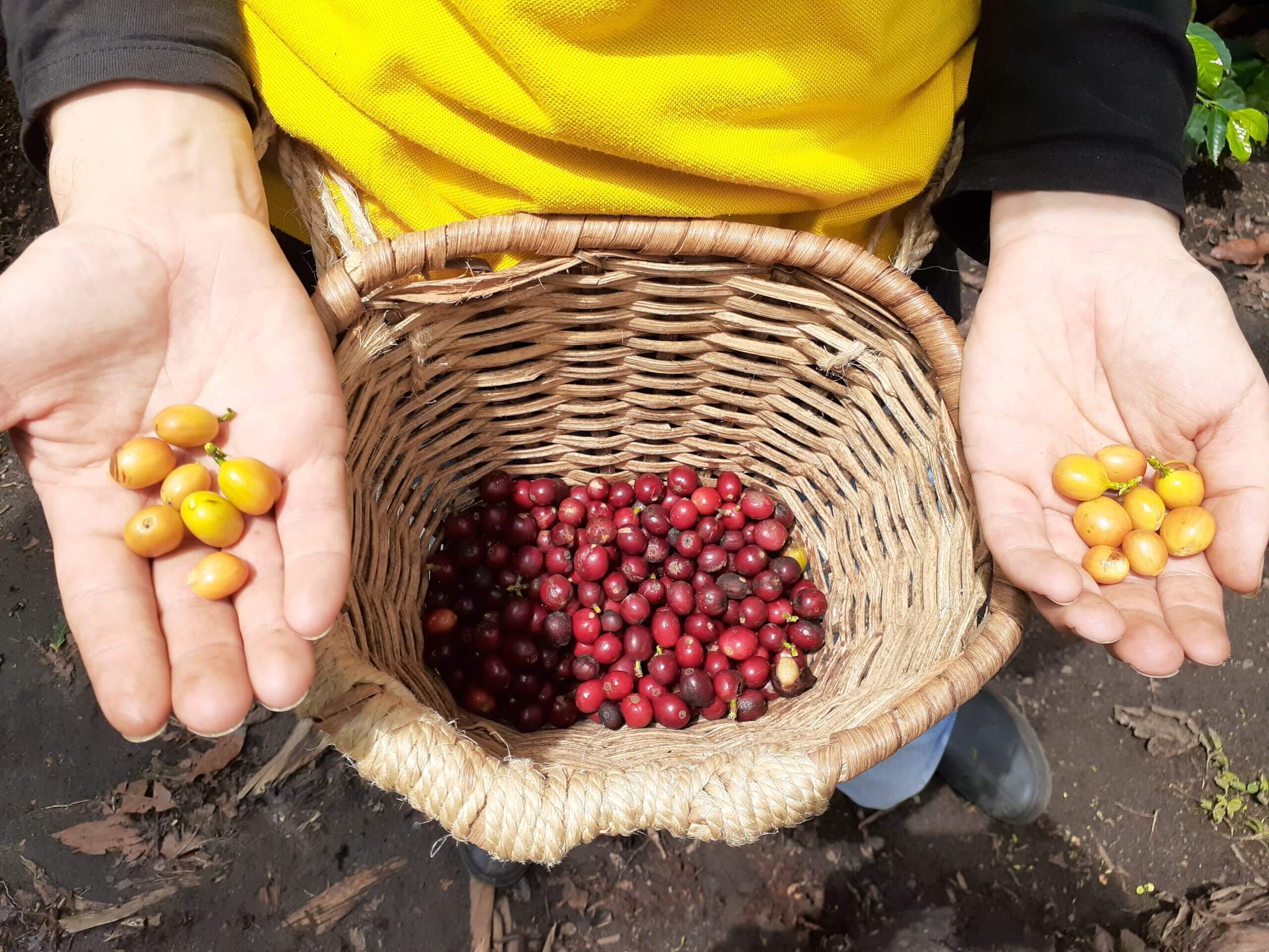 20191023_103100-scaled