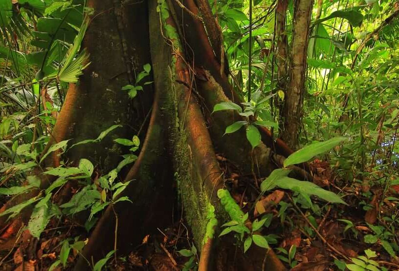 ecuador-shaman-spiritual-3-days-tour