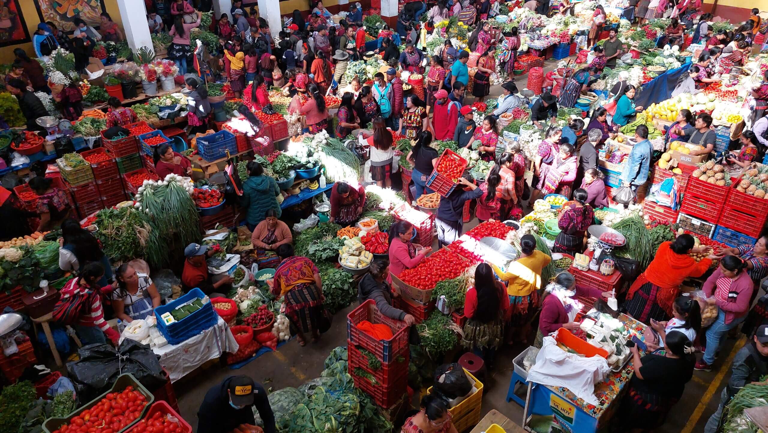 20230305_093053-scaled