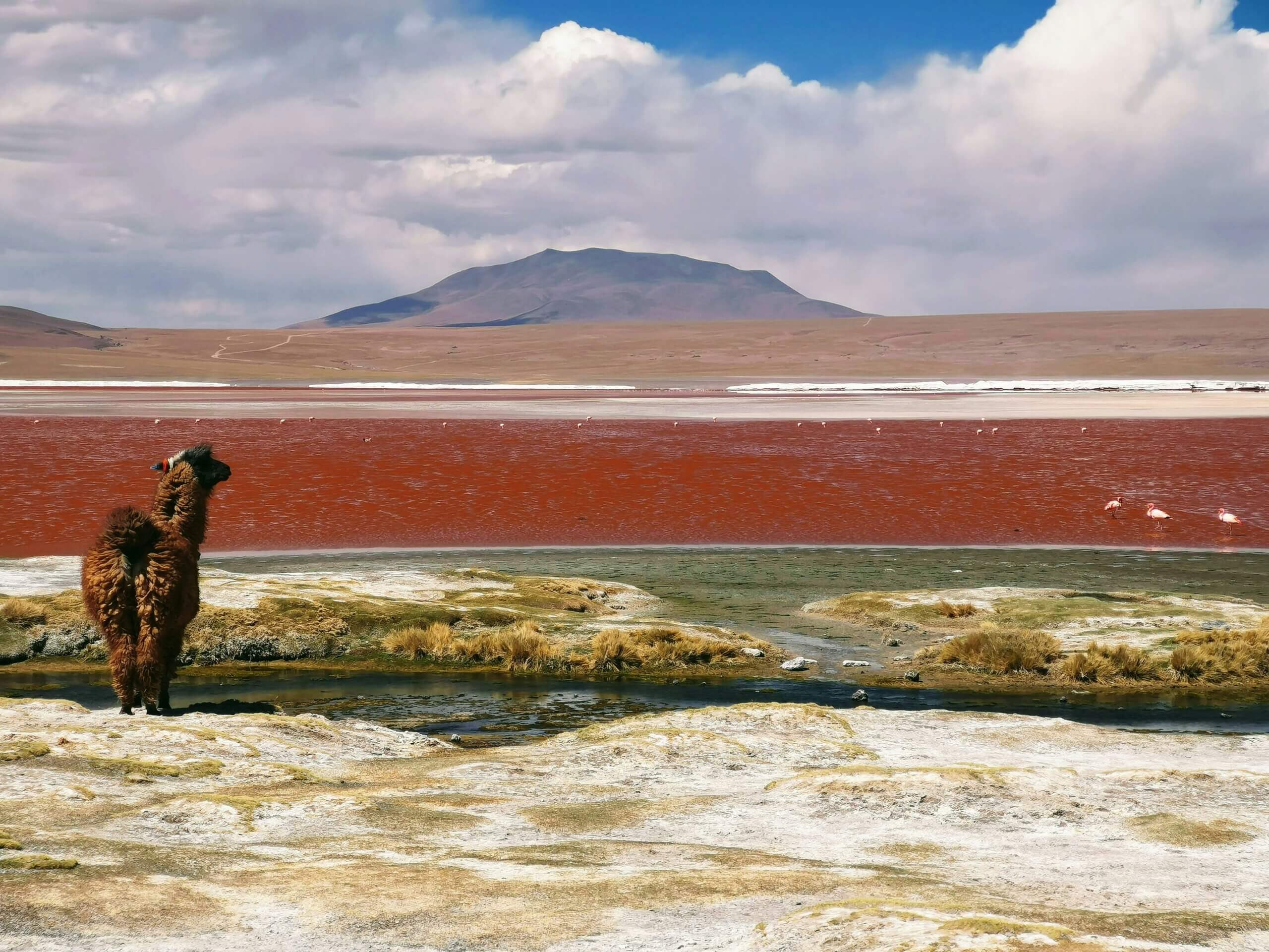 South America Explorers 20 Day Tour