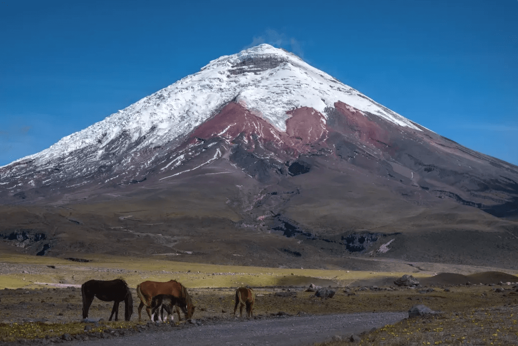 Cotopaxi National Park
