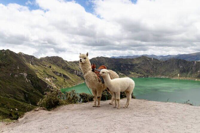 Ecuador bucket list tour