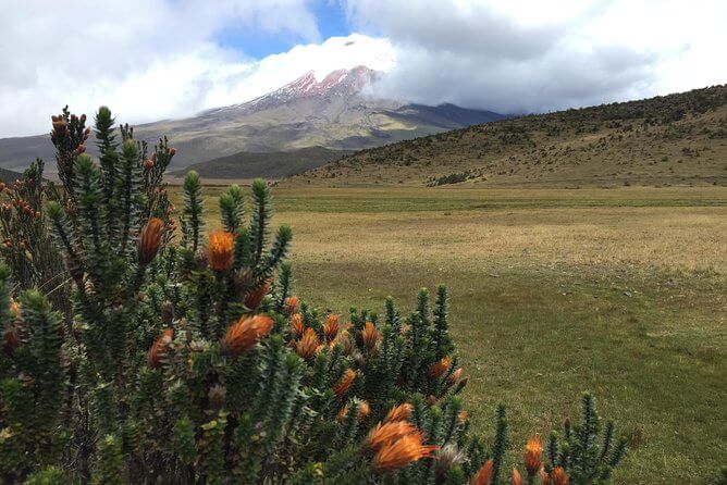 Ecuador bucket list tour