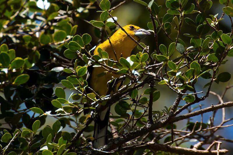 ecuador-a-paradise-in-world-travel-blog