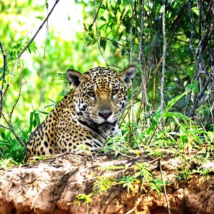 best-of-brazil-11-days-tour-4-scaled