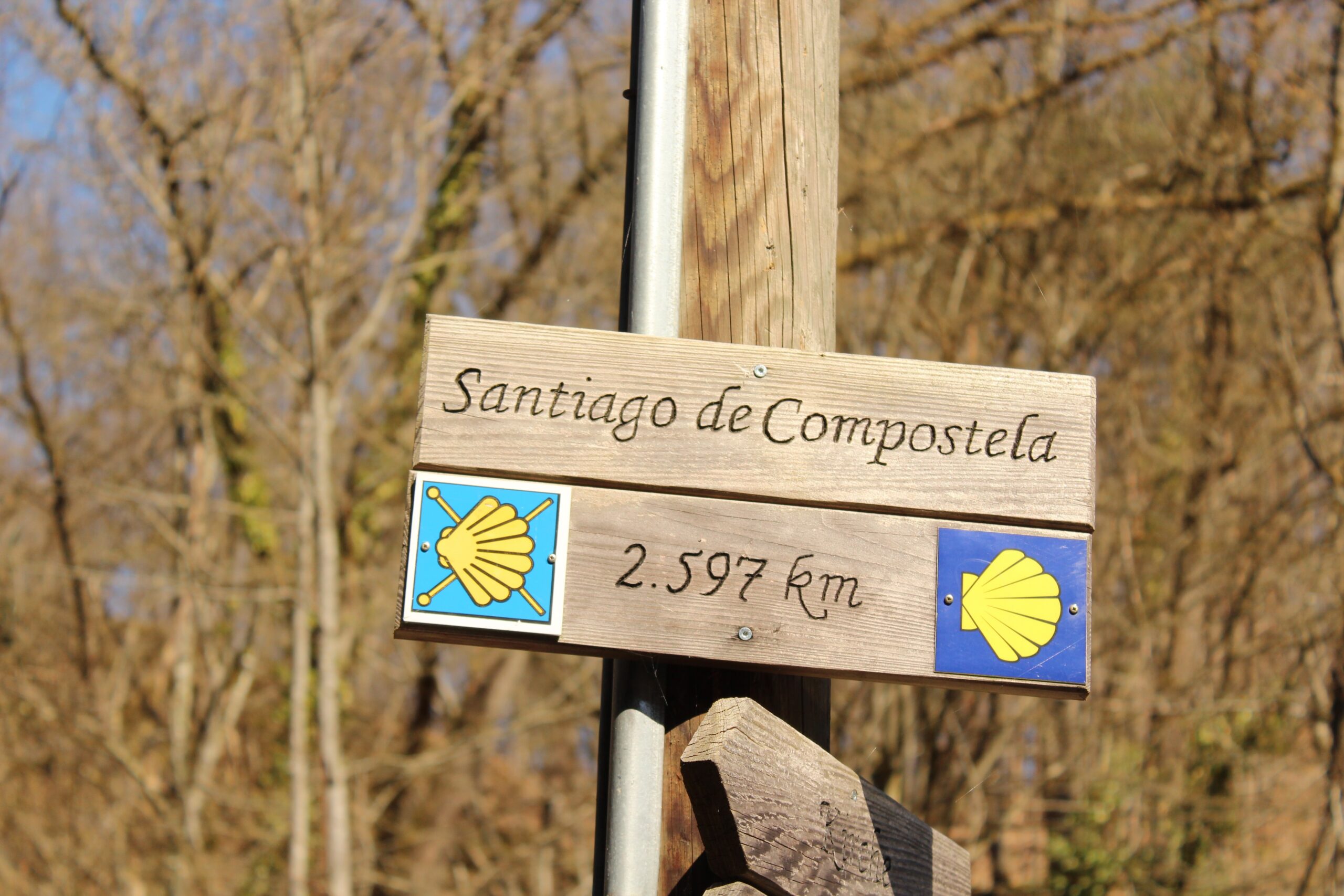 Camino de Santiago: Walk, Discover & Experience 9 Days