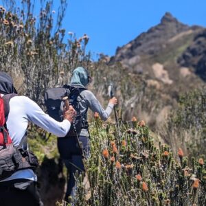 Private Ruco Pichincha Hiking Day Tour