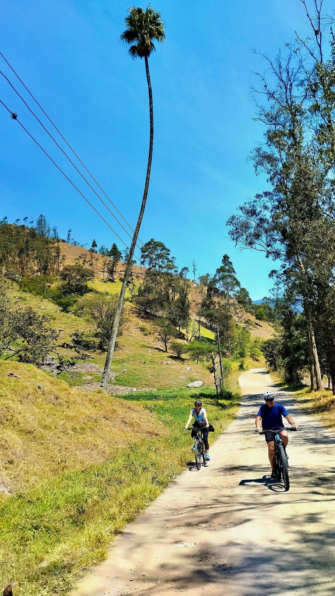 Cuenca City Bike Tour