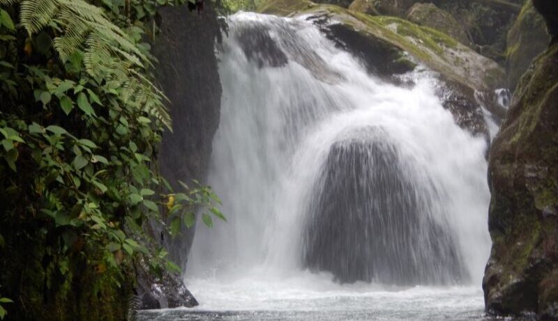 Ecuador Gateway Tour – 5 Days: Mindo, Otavalo & Quito