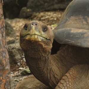 Ultimate 6-Day Galapagos Islands Tour Package
