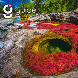 Caño Cristales 3 Day Tour from Bogota