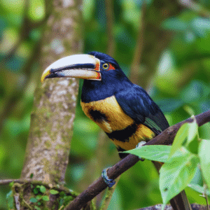 Private Mindo full-day tour Ecuador