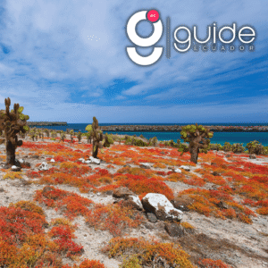 South Plazas Island Day Tour