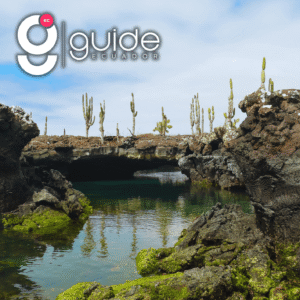 Los Tuneles 1 Day Tour in Isabela – Galapagos