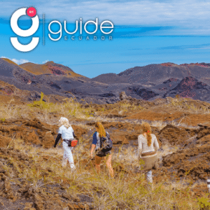 Sierra Negra & Volcán Chico Day Tour