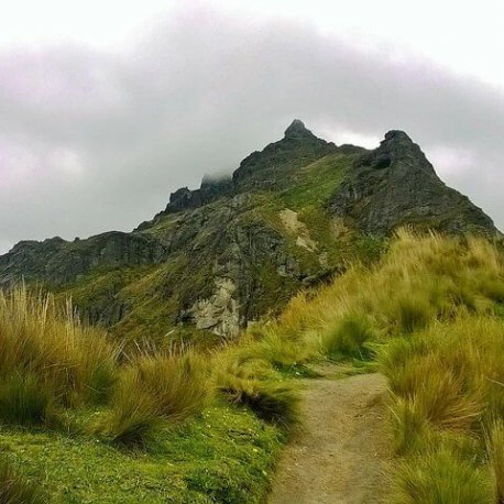 volcanism in the Ecuadorian Andes is a result of the subduction of the Nazca