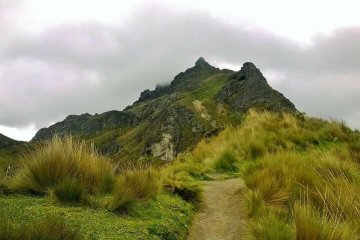 volcanism in the Ecuadorian Andes is a result of the subduction of the Nazca