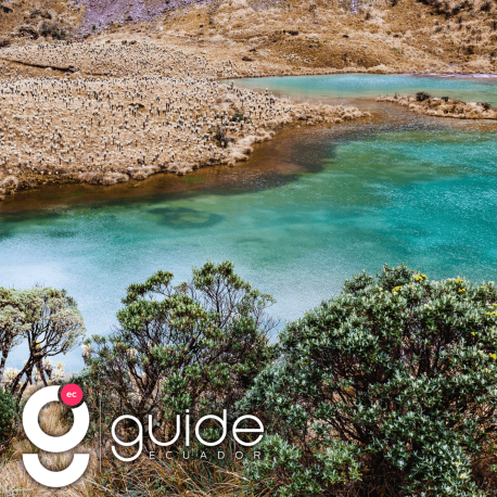 Highlights of Northern Ecuador 6 Days Tour