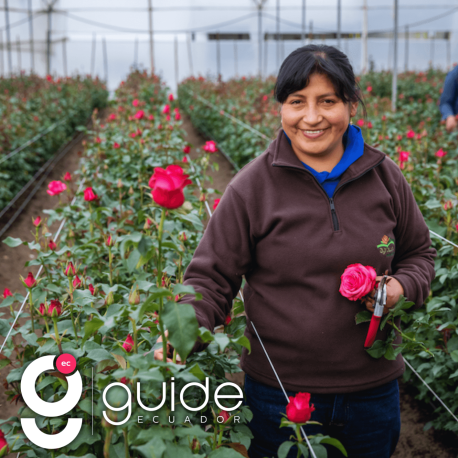 ecuador wine and roses tour 3 days tour