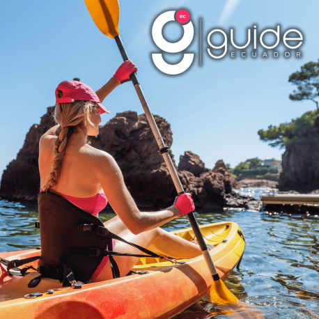kayak tour in isabela galapagos