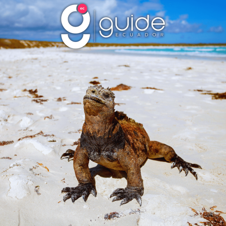 Galapagos Outdoors Comfort 9 Days Tour