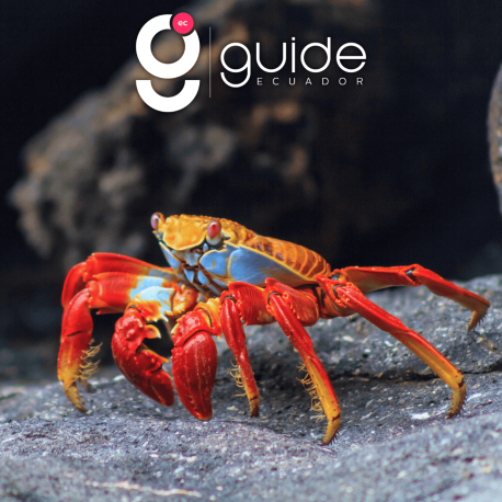 best-of-Galapagos-Big-five-9-days-tour