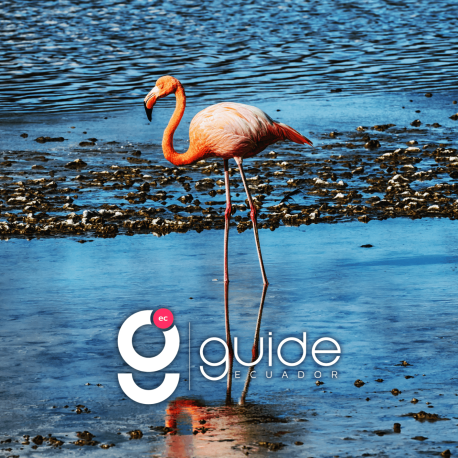 6-Days-Galápagos-Island-Hopping-tour