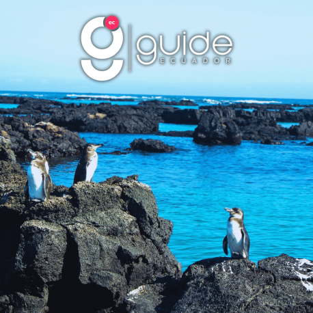 Fly-Galapagos-9 days-unique-Island-hopping-tour