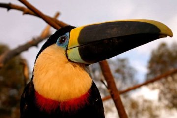 Ecuador Updated Entry Requirements during Covid 19