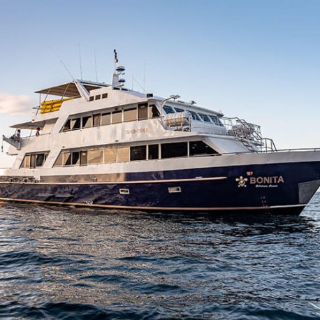 bonita-tourist-superior-galapagos-cruise