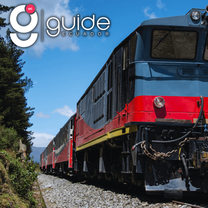 cover-guidepag-2024-01-29t122443.105