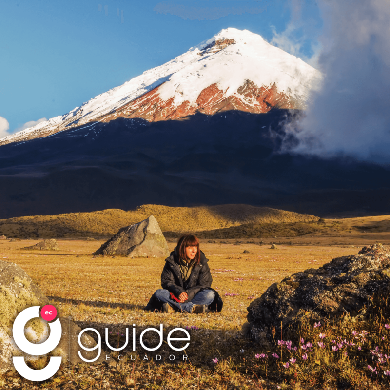 cover-guidepag-2024-01-31t110723.582