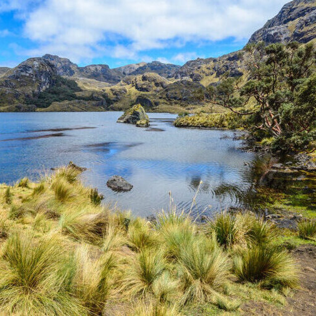 Ecuador Adventure Tour – 14 Days Andes, Amazon & Coast