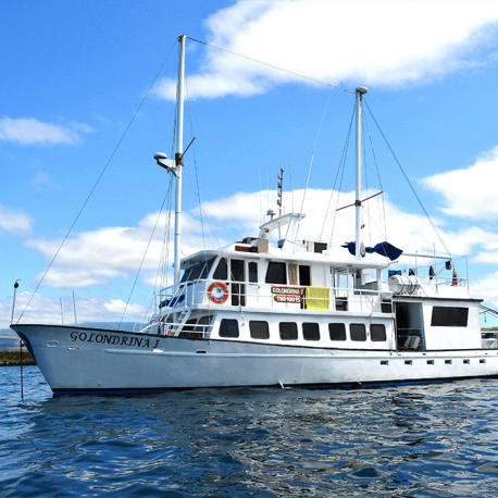 golondrina-budget-galapagos-cruises
