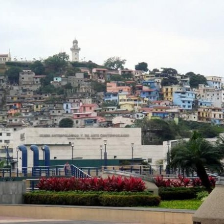private tour in guayaquil city