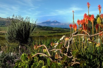 visiting-ecuador-after-covid-19