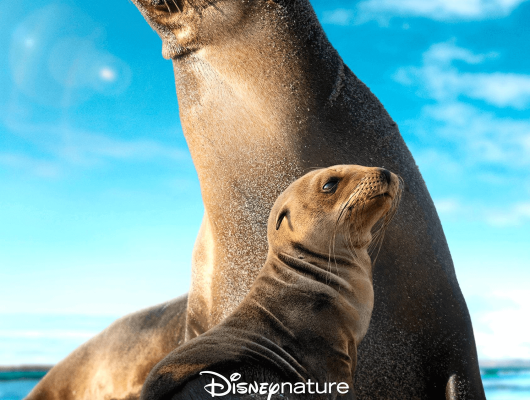galapagos disney sea lions movie