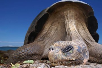 Ecuador-New-Travel-Requirements