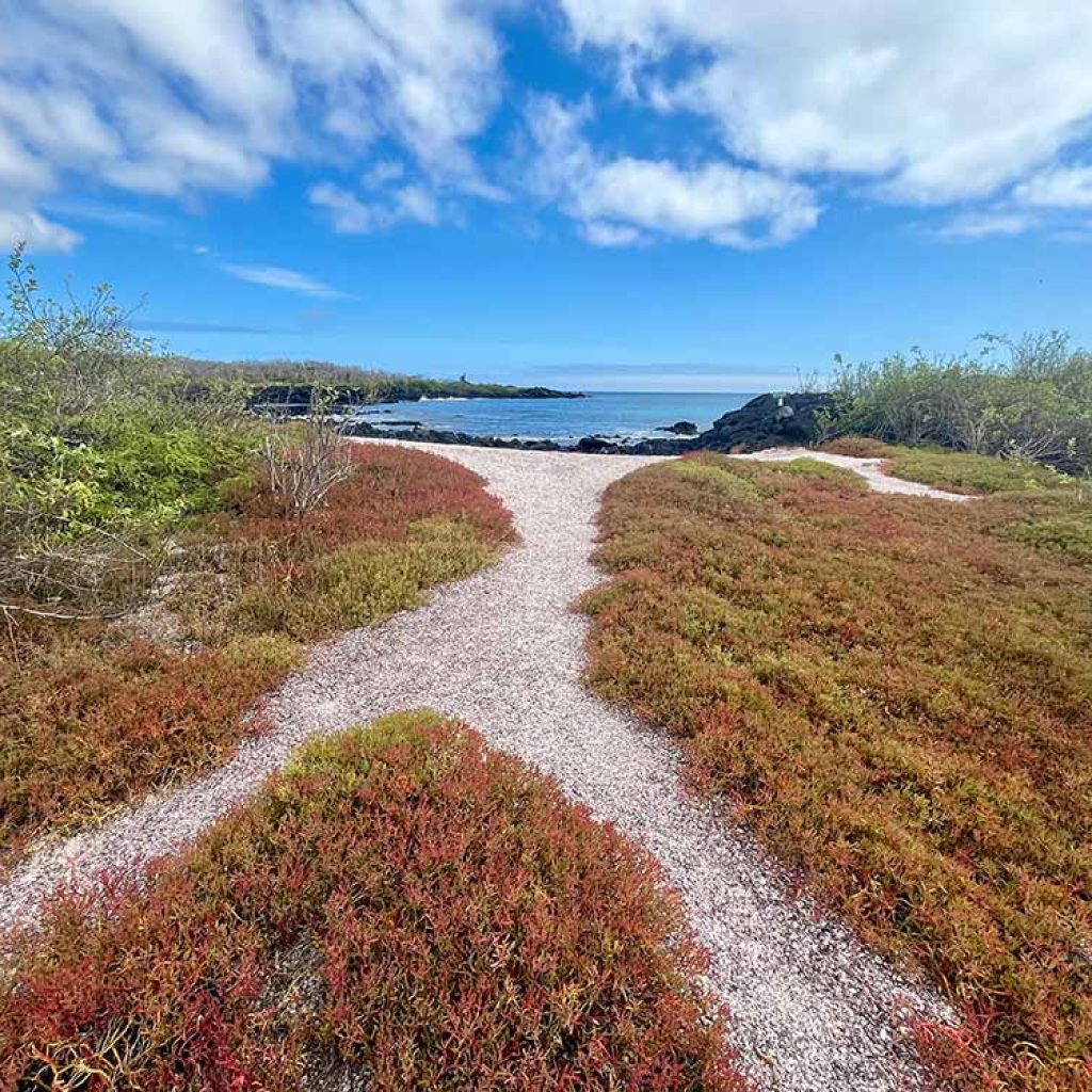 Floreana Island Tour