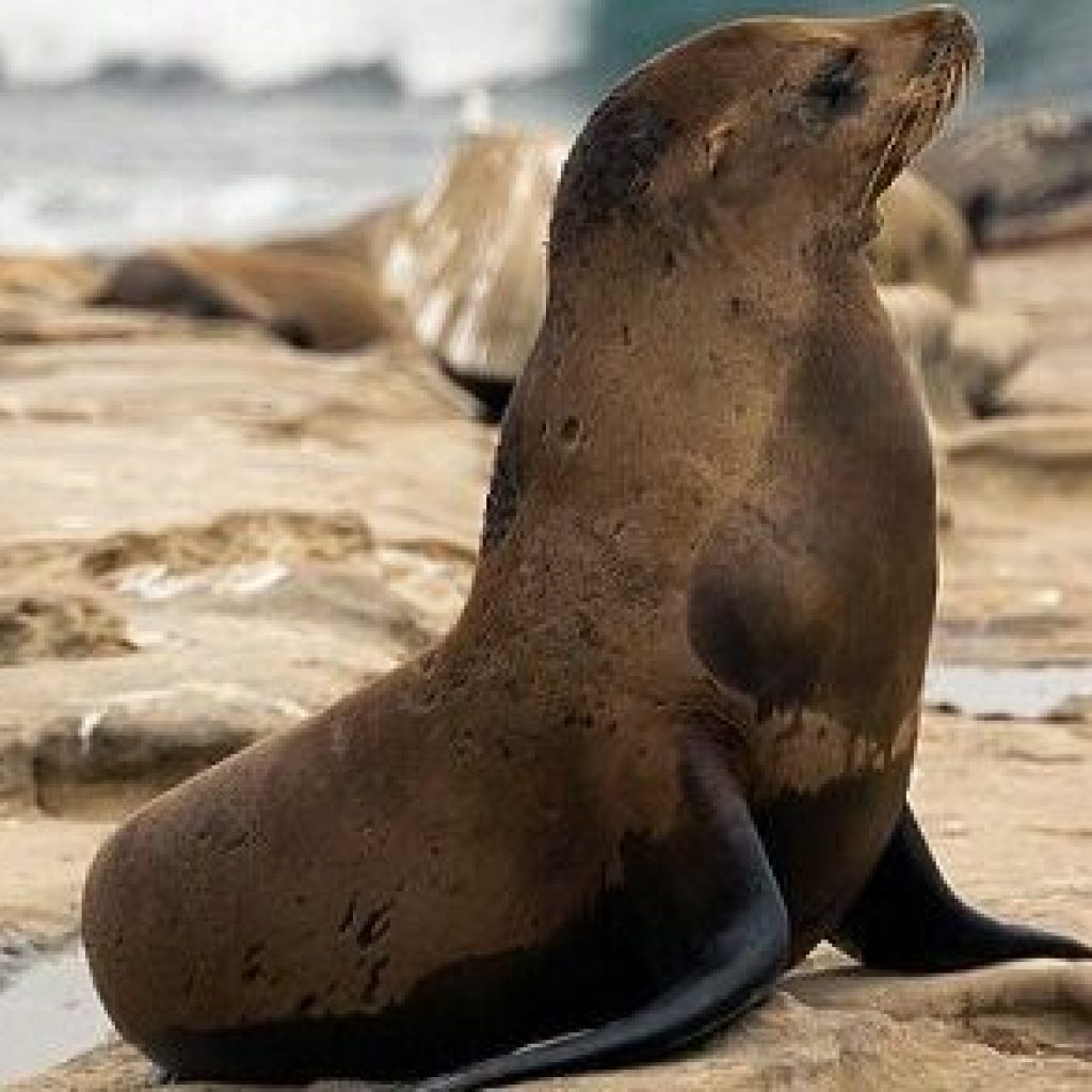 Ultimate 6-Day Galapagos Islands Tour Package