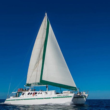 nemo-ii-tourist-superior-galapagos-cruise