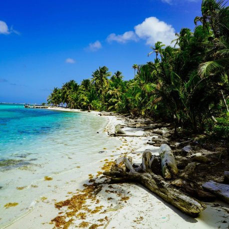 panama 8 days tour complete experience bocas del toro , embera tribe and canal de panama