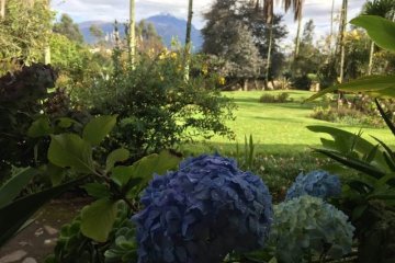 ecuador-a-paradise-in-world-travel-blog