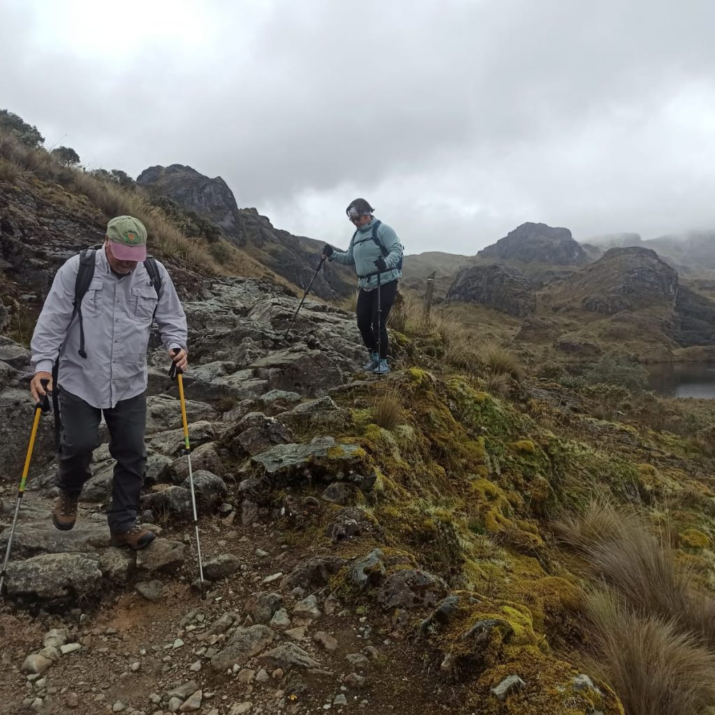 Cajas National Park & Cuenca City Private Tour