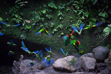 yasuni-national-park-tour
