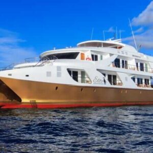 Elite Luxury Catamaran 5*