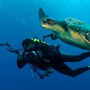 Galapagos Scuba Diving Tour 8 Days