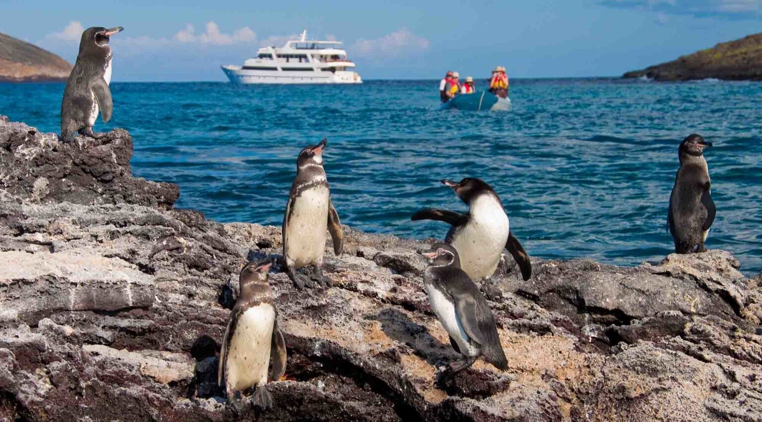 Galapagos Outdoor 9 Days Tour – Adventure & Wildlife Experience
